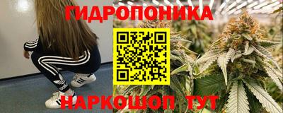 хмурый Новодвинск