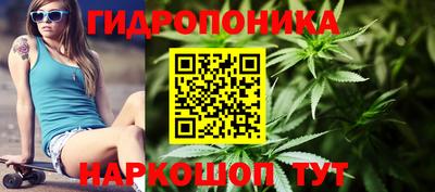 хмурый Новодвинск