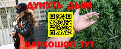 шишки Новозыбков