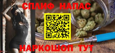 шишки Новозыбков