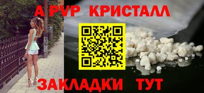 шишки Новозыбков