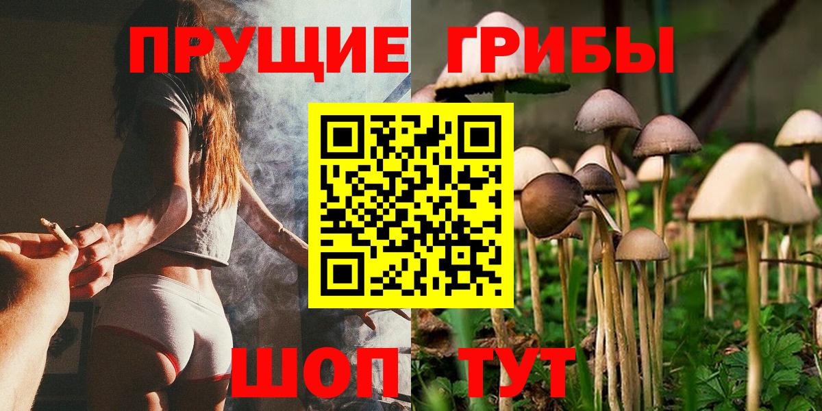 Псилоцибиновые грибы прущие грибы Советск