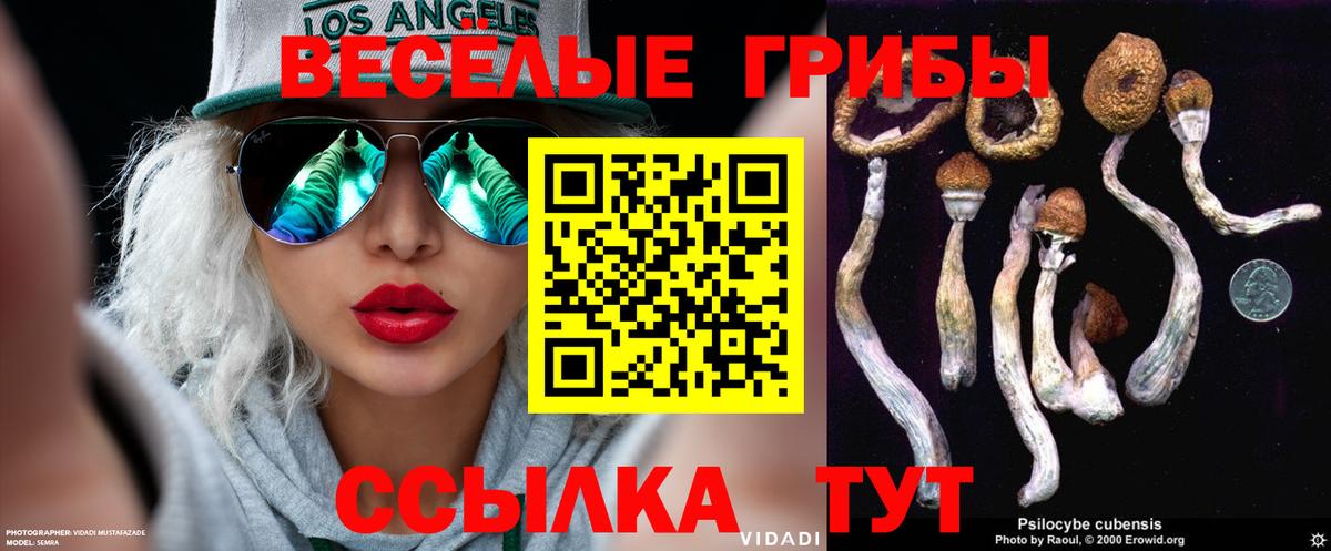 Советск  Галлюциногенные грибы MAGIC MUSHROOMS  Вход с VPN  купить наркотики сайты  Галлюциногенные грибы GOLDEN TEACHER 